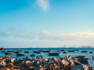 優(yōu)勢明顯，資本蜂擁而入