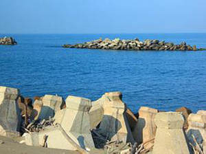 公司設立之程序