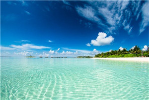 開曼公司年審時間